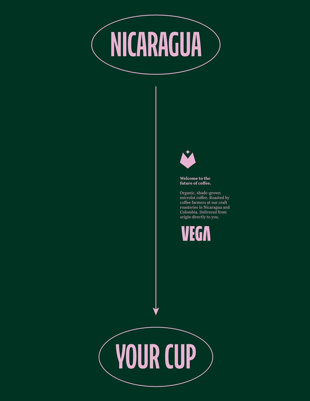 Vega Coffee graphic showing the direct path from Nicaragua to the purchaser's coffee cup