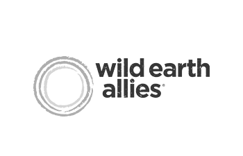 Wild Earth Allies logo